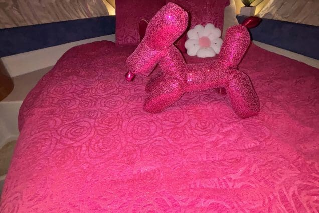 45ft Diamond Pink Miami guest cabin with stylish interiors and comfortable sleeping accommodations