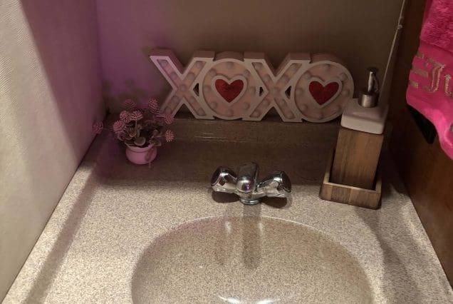 45ft Diamond Pink Miami clean and modern washroom with upscale amenities