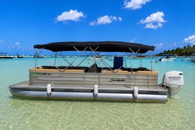 24ft Godfrey Sweetwater Pontoon